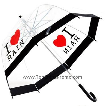 clear umbrella