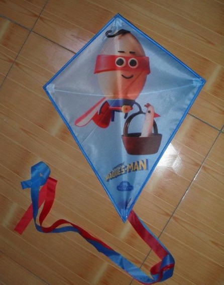 Promotional Cheap Advertising Kite